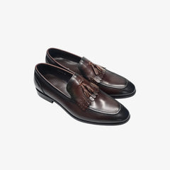 Mocassini con nappe in pelle lucida da uomo, Marrone